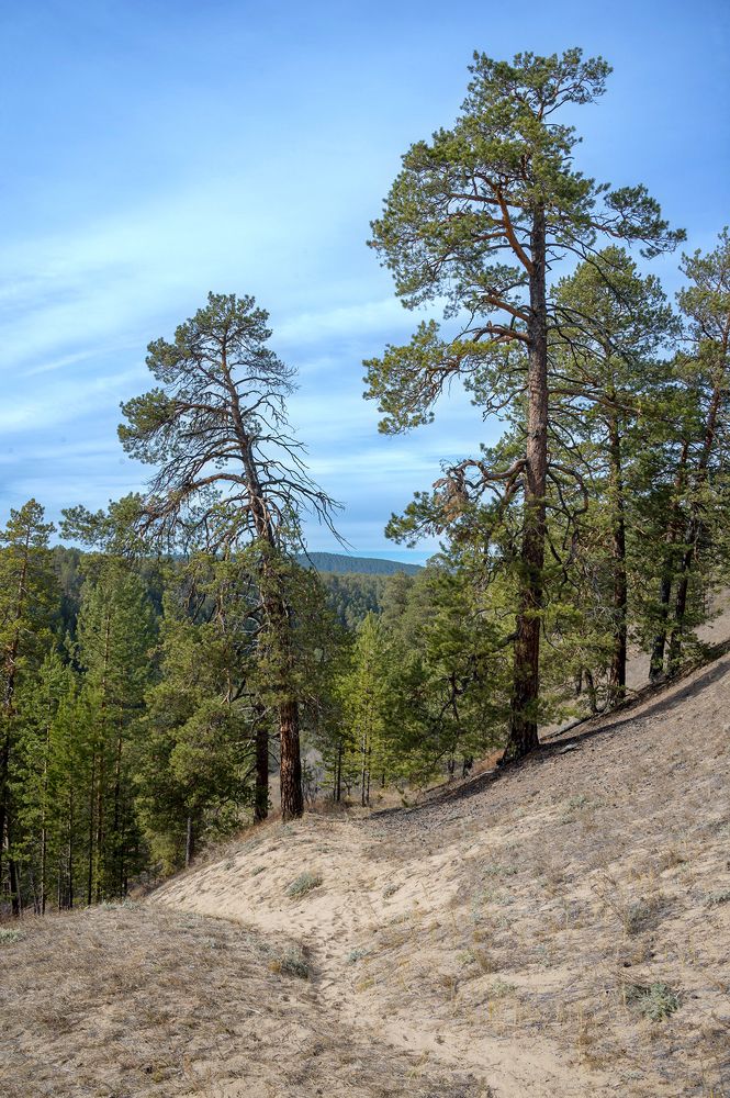 Photograph by Alexandr Myasnikov