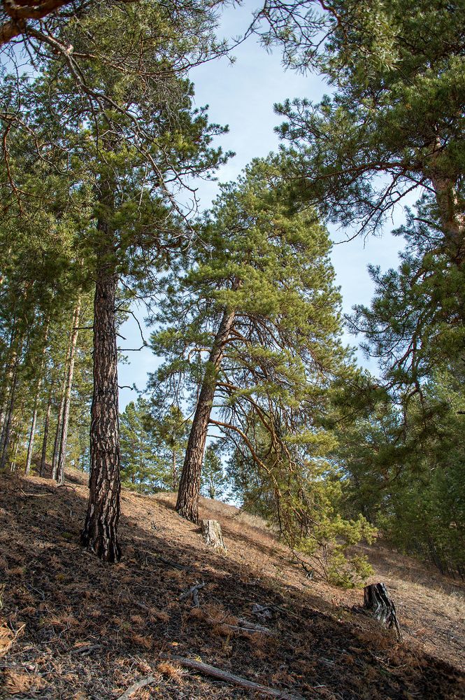 Photograph by Alexandr Myasnikov