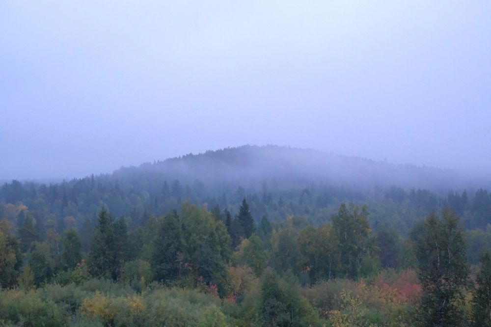 Photograph by Ирина Дегтярева