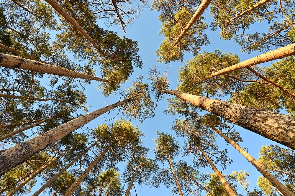 Photograph by Alexandr Myasnikov