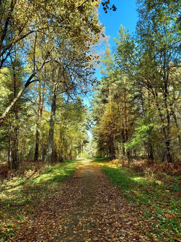 Photograph by Ольга Юрченко