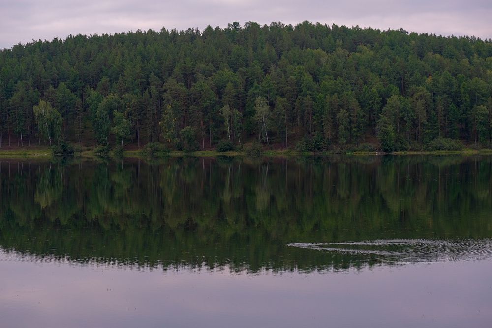 Photograph by Ирина Дегтярева