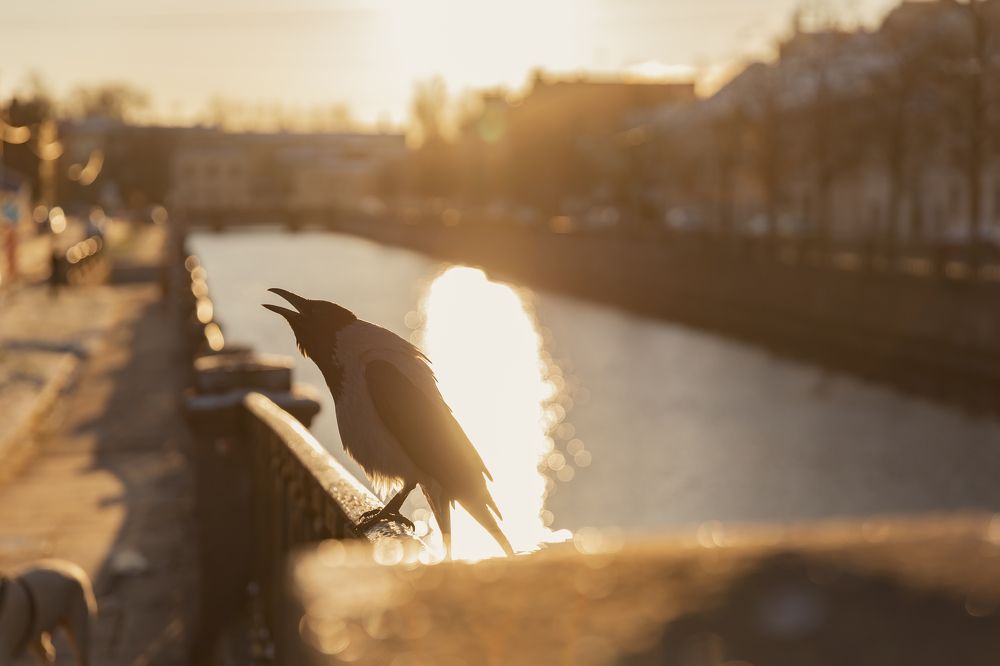 Photograph by Анна Коршунова