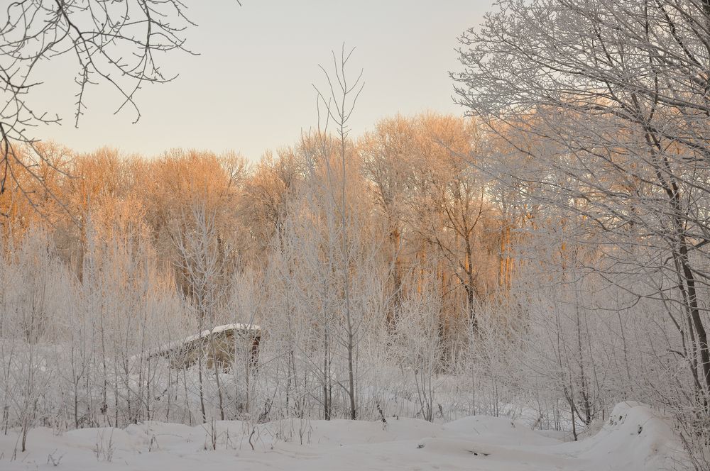 Photograph by Оксана Астрова