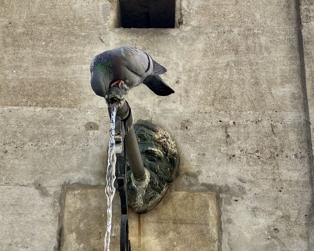 Photograph by Marina Odintsova