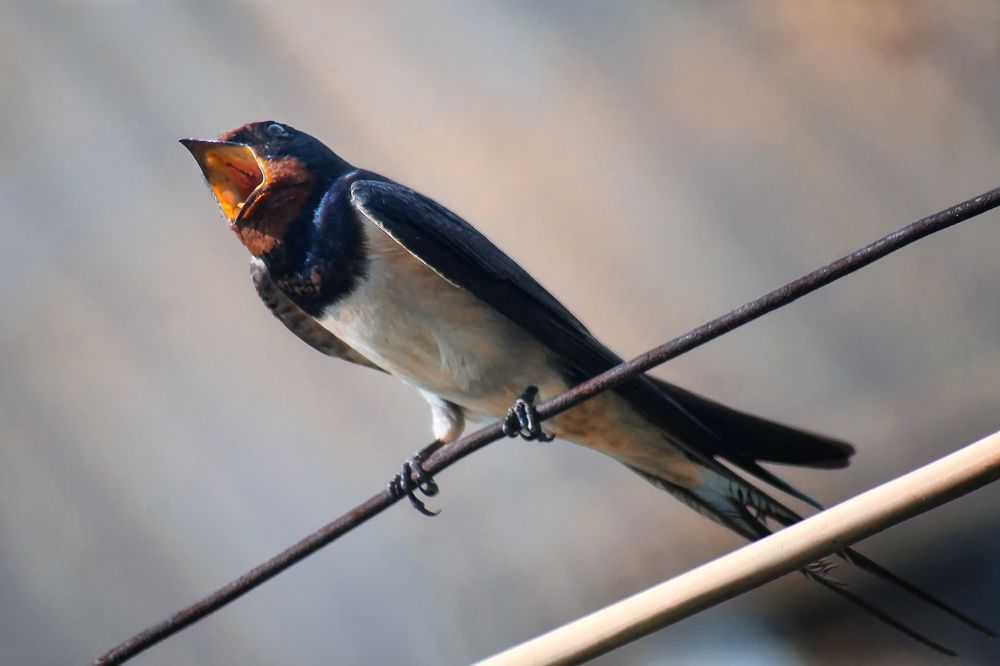 Photograph by Vitaliy Saposhnikov