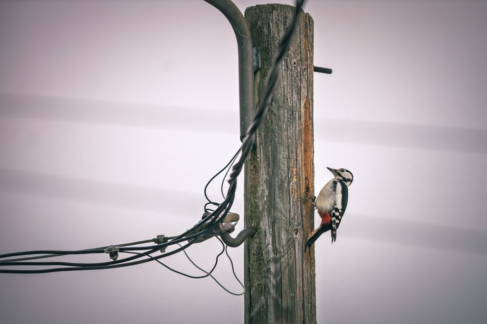 Photograph by Андрей Шабанов