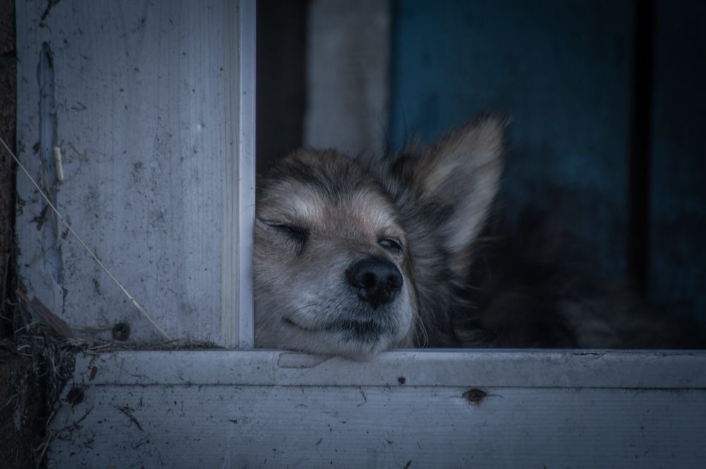 Photograph by Кристина Гоглева