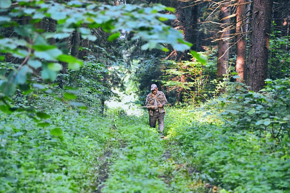 Photograph by Елена Чулюнина