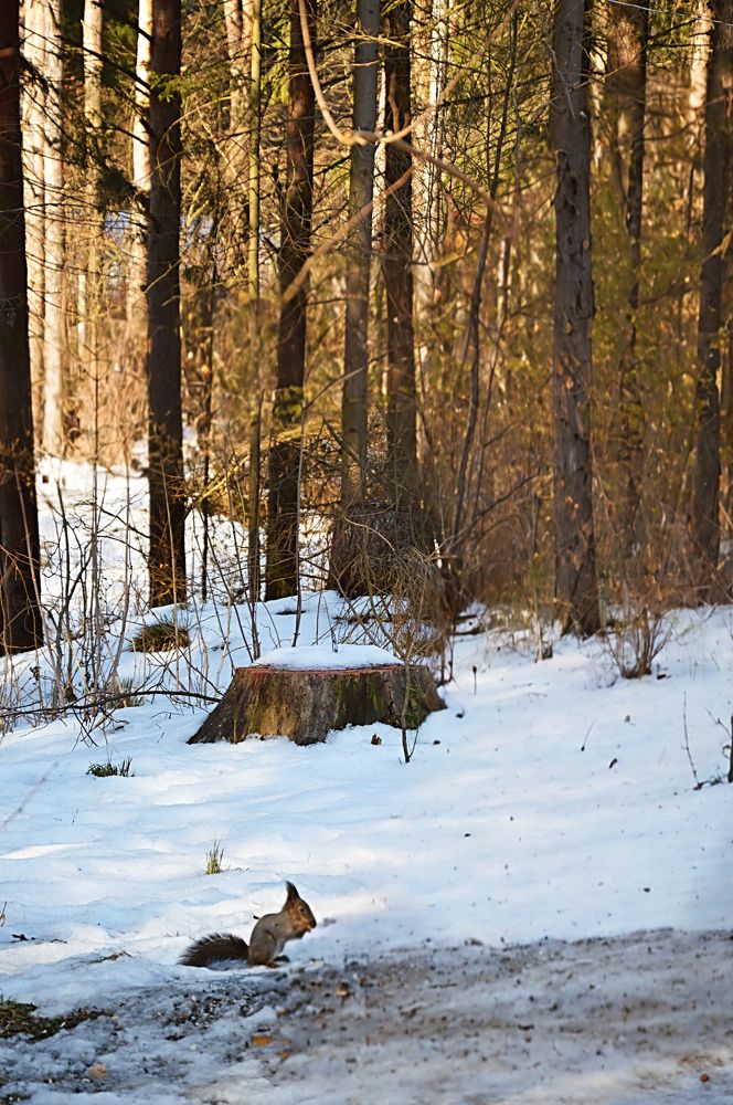Photograph by Елена Чулюнина