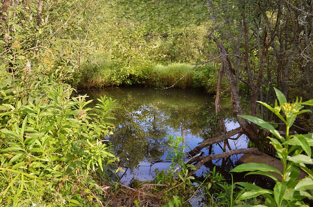 Photograph by Елена Чулюнина