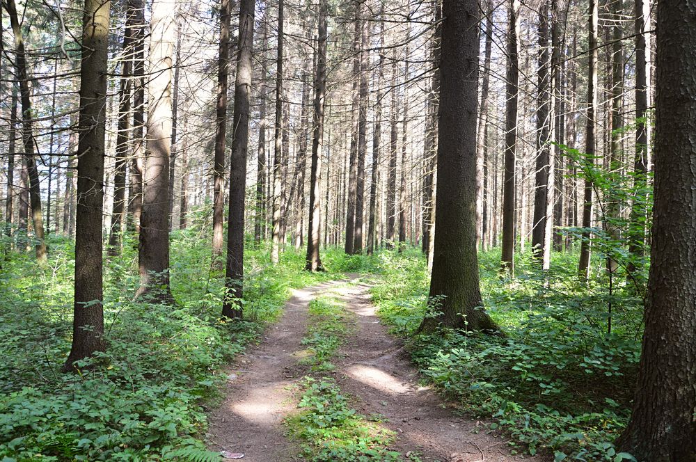 Photograph by Елена Чулюнина