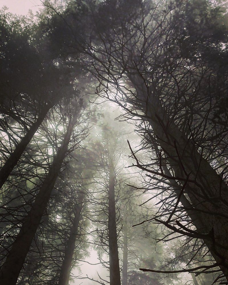 Фотография автора Elena Burgstaller