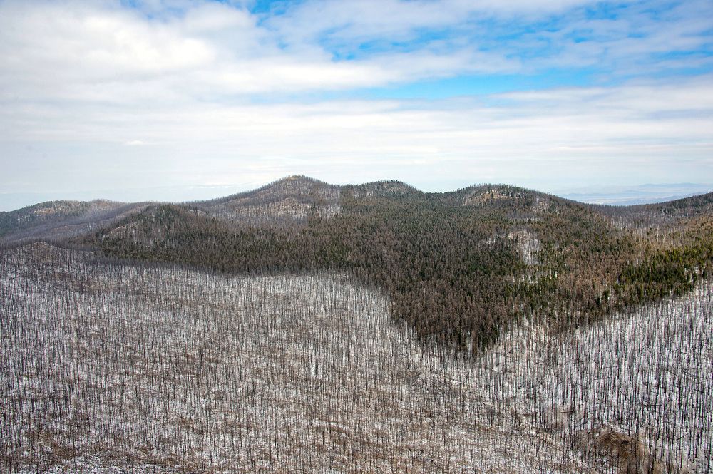 Тыва. Небо, лес, горы