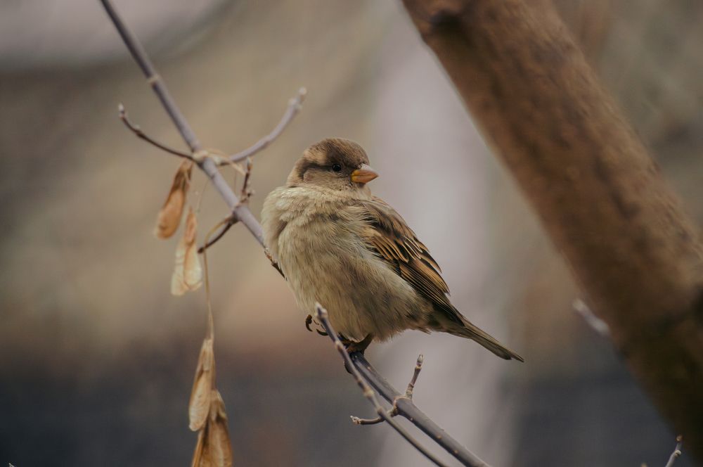 Photograph by Кристина Гоглева