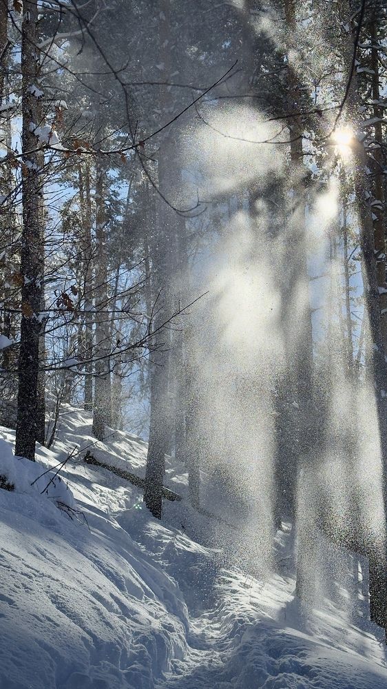 Photograph by Ольга Бибекина