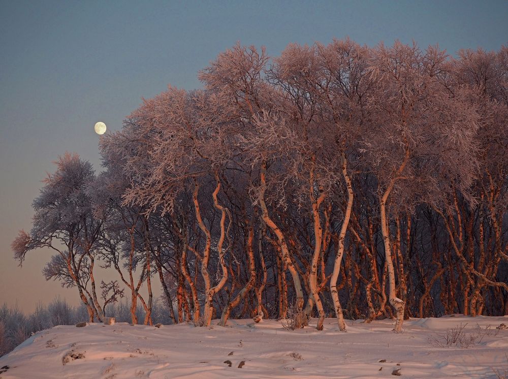 Photograph by Евгений Яковлев