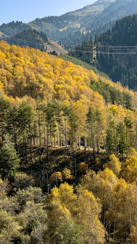 Photograph by Ольга Бибекина