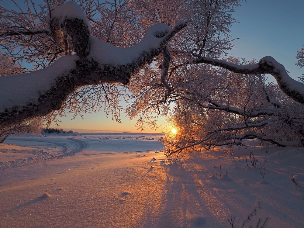 Photograph by Евгений Яковлев