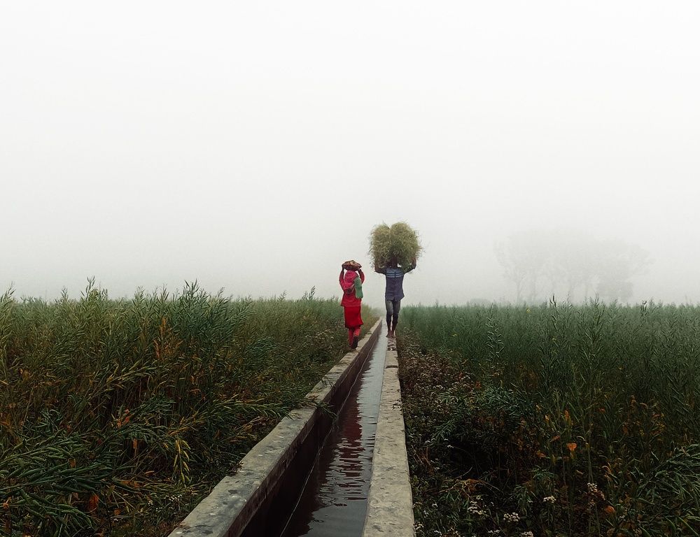 Photograph by Asraf Shovon