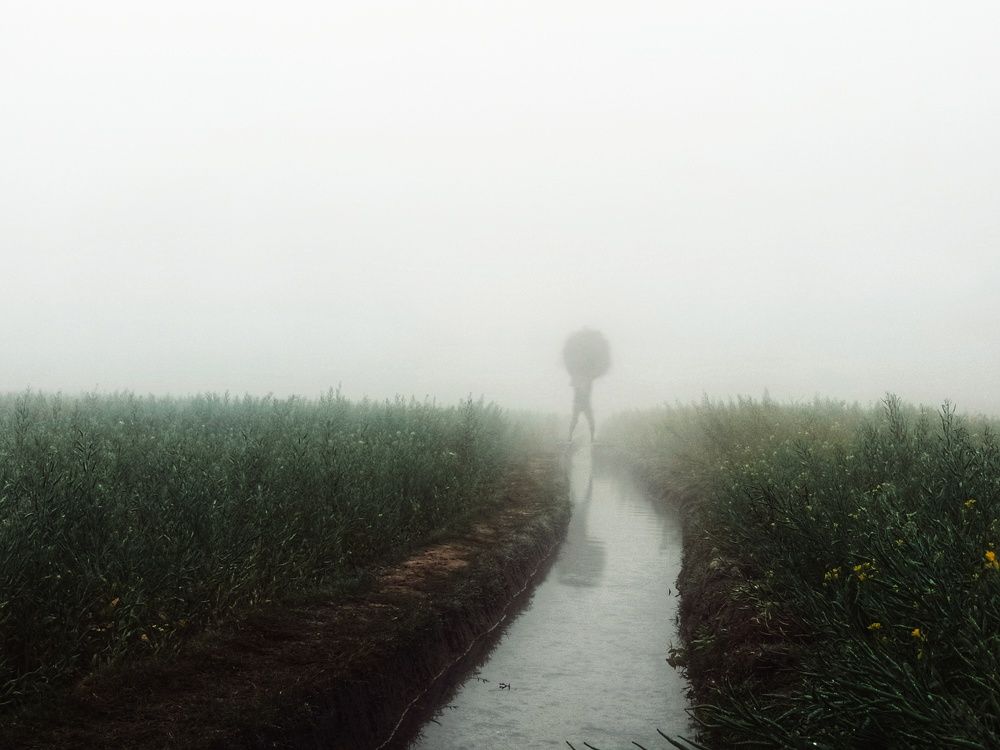 Photograph by Asraf Shovon