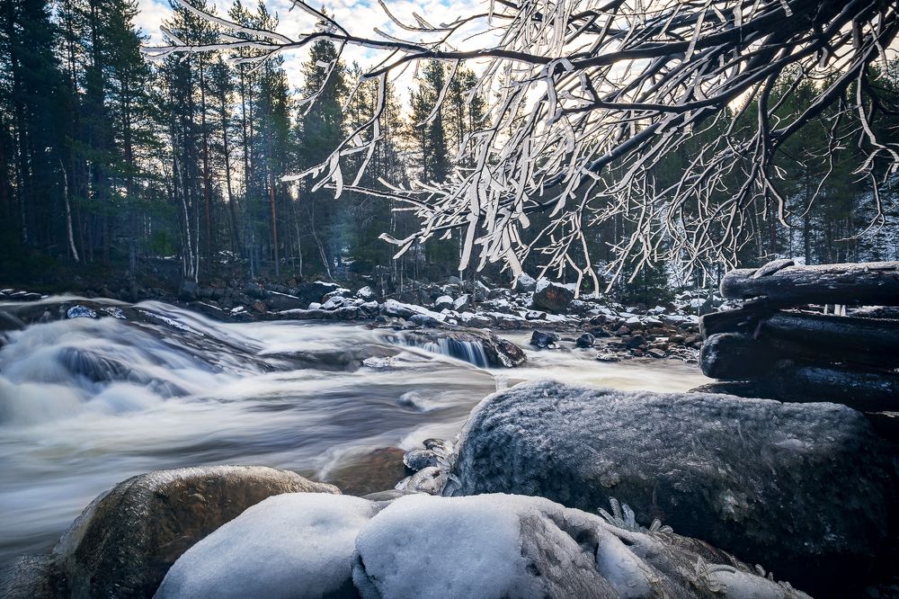 Photograph by Ольга Ченцова