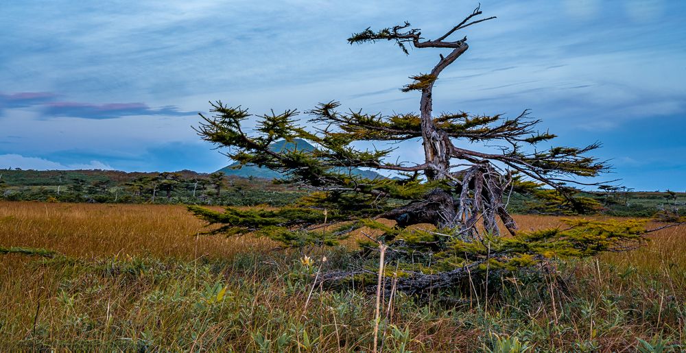 Photograph by Ольга Ченцова