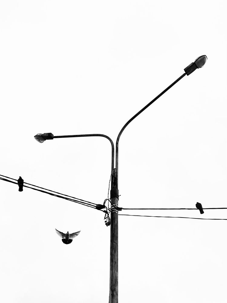 Photograph by Андрей Васильев