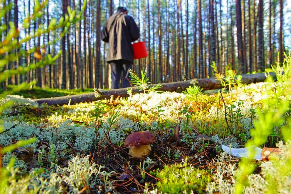 Photograph by Анна Васильева