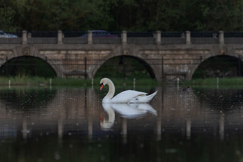 Photograph by Денис