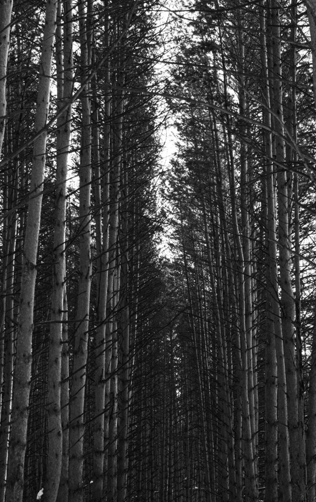 Photograph by Александр Коковихин