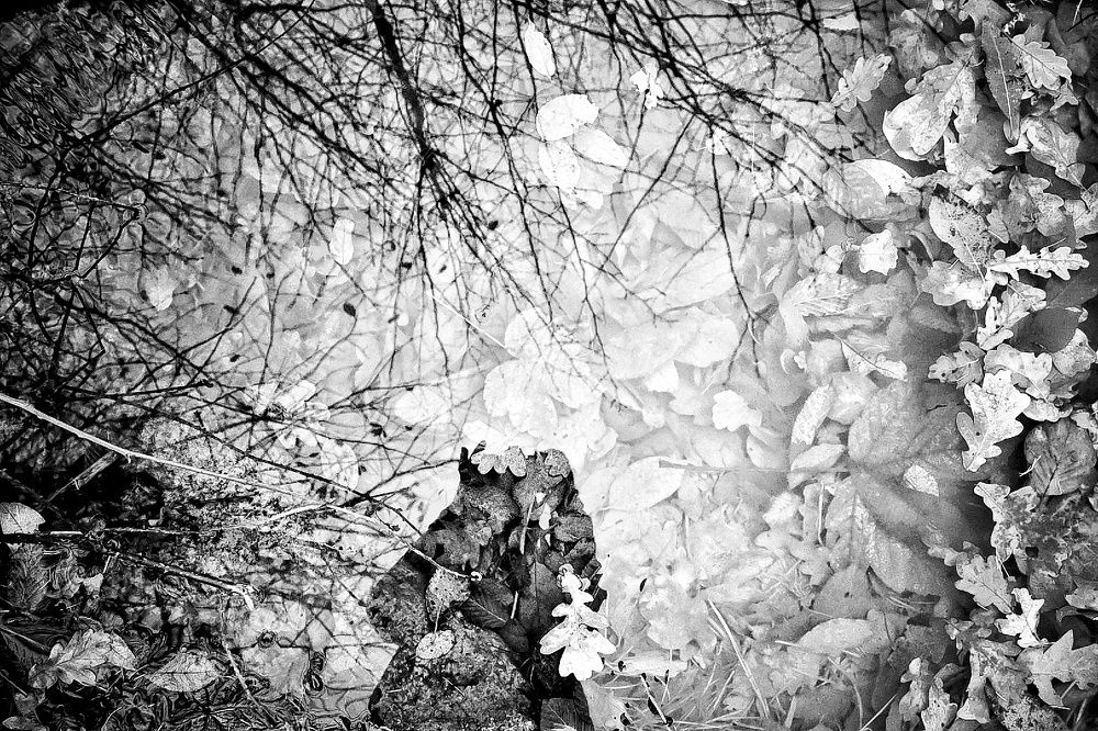 Photograph by Stella Szpinek