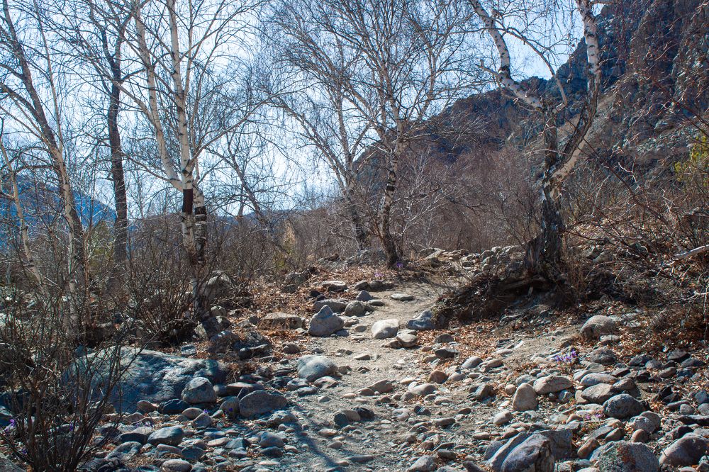 Photograph by Александр Коковихин