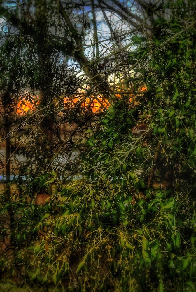 Photograph by Stella Szpinek