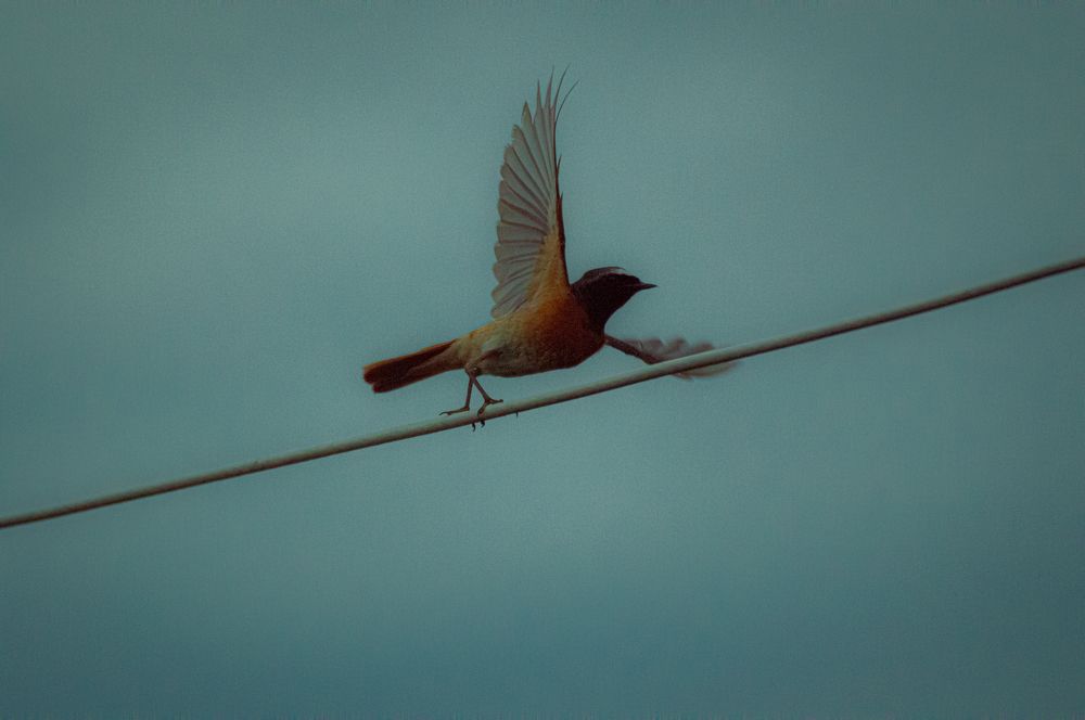 Photograph by Кристина Гоглева