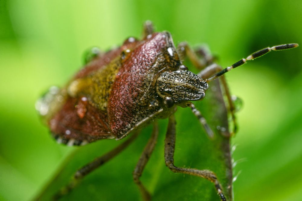 Photograph by Альберт Загиров