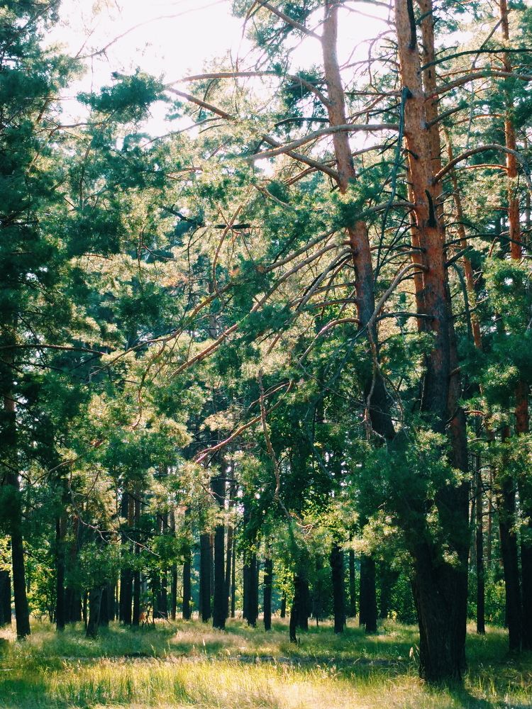 Photograph by Екатерина Кузнецова