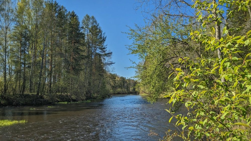 Photograph by Ольга Тимофеева