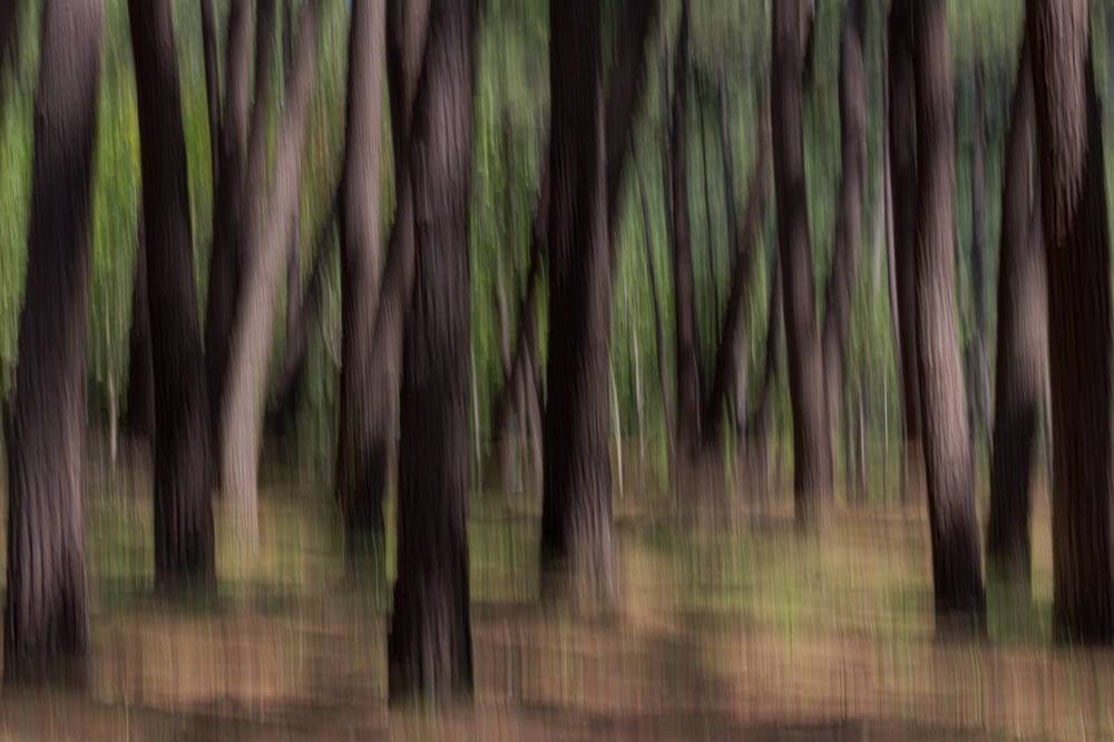 Фотография автора Gestal Marcos