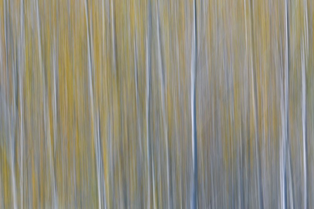 Фотография автора Gestal Marcos