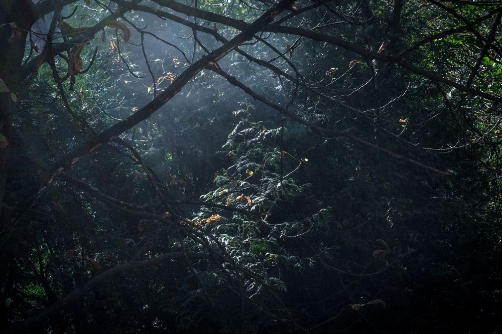 Photograph by Samir Golchha