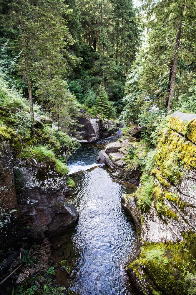 Фотография автора Aliaksandr Shautsou