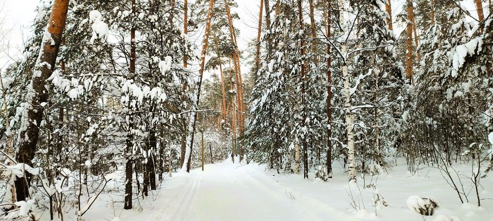 Photograph by Светлана Батурова