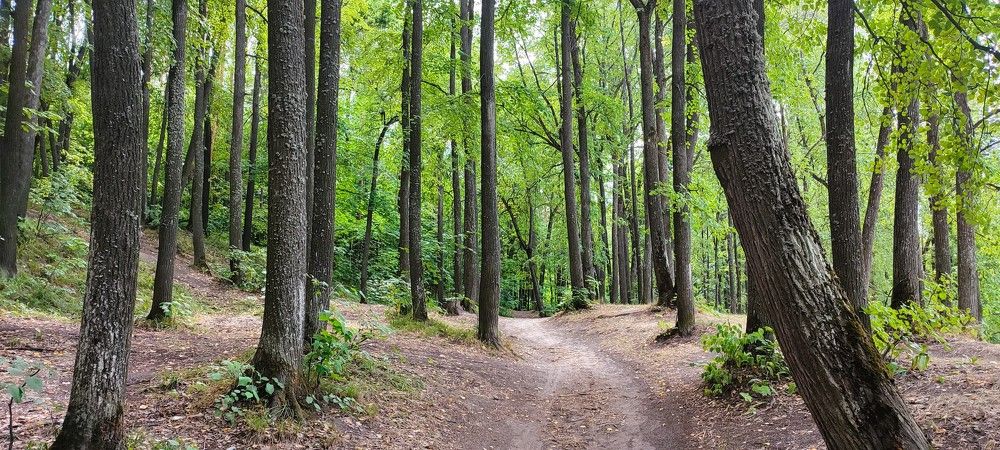 Photograph by Светлана Батурова