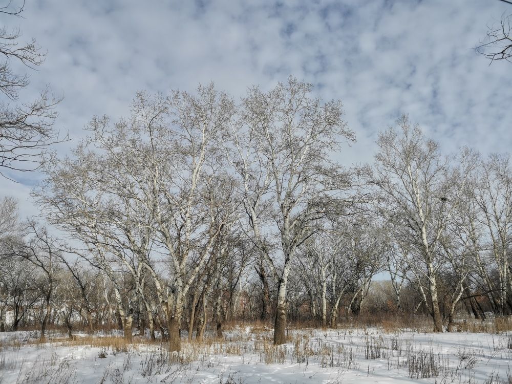 Photograph by Alexey Reznichenko