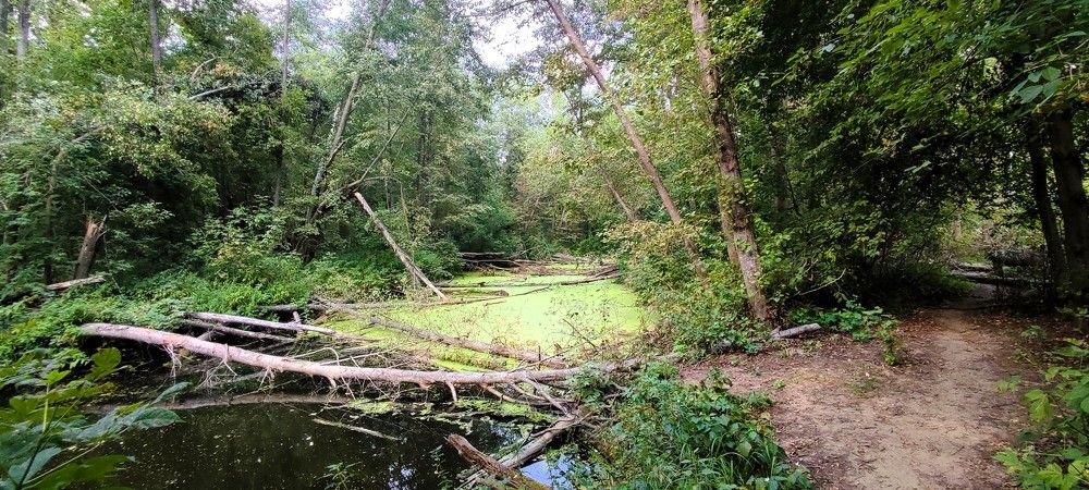 Photograph by Светлана Батурова