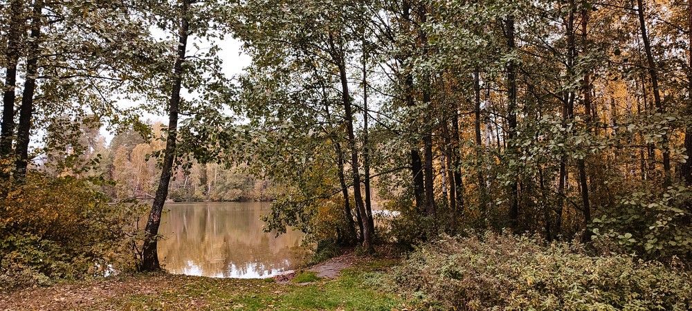 Photograph by Светлана Батурова