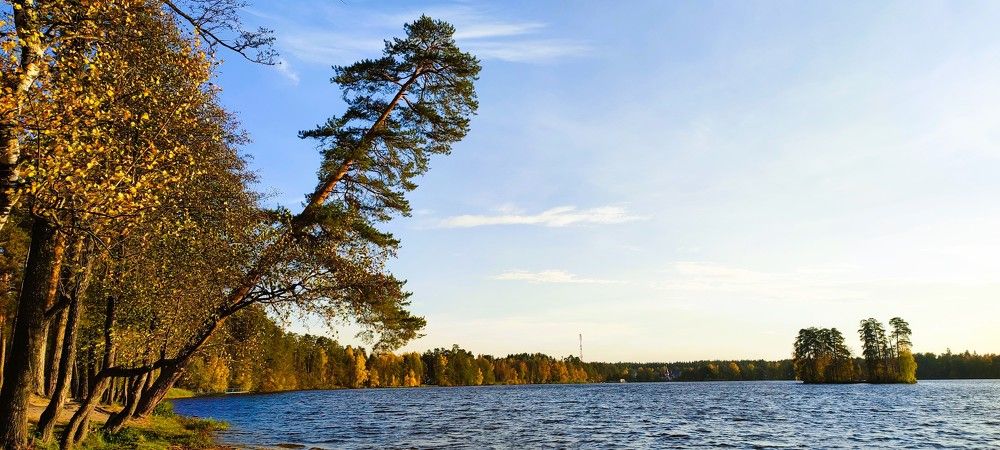 Photograph by Светлана Батурова