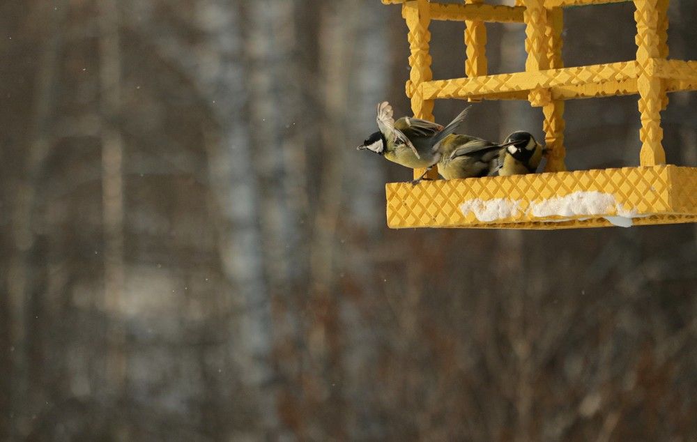 Photograph by Галина Мазур