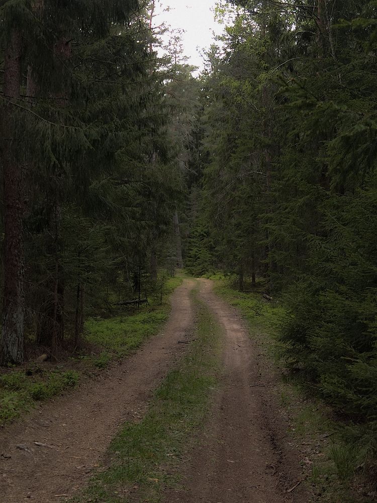 Photograph by Галина Махонь